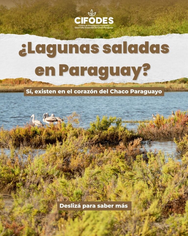 lagunas-saladas-1