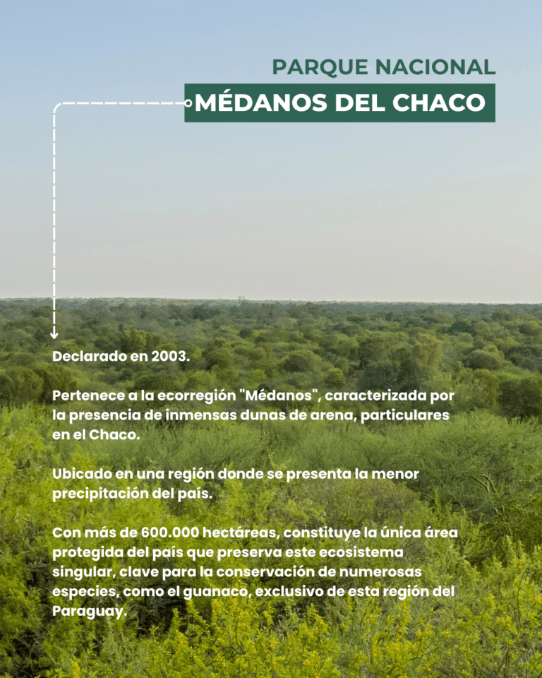 parques-chaco-3